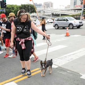 AIDS Walk LA - 2016 (Gallery 4) - Image 456048