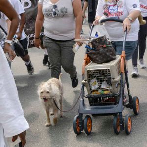 AIDS Walk LA - 2016 (Gallery 4) - Image 456084