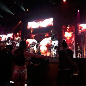 2016 AVN Awards - Stage Highlights (Gallery 1) - Image 399189