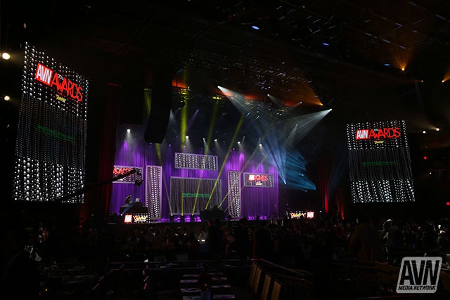 2016 AVN Awards - Moments on Stage