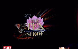 2017 Transgender Erotica Awards - Stage Show