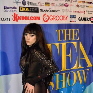 2017 Transgender Erotica Awards - Stage Show - Image 491932
