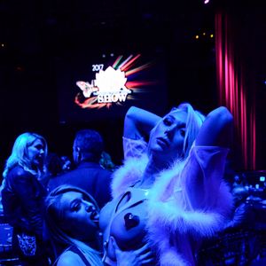 2017 Transgender Erotica Awards - Stage Show - Image 492052