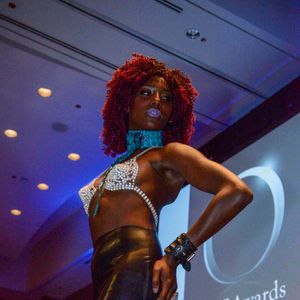 2017 AVN Novelty Expo - O Awards - Image 473022