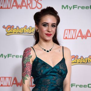 2017 AVN Awards Show - Red Carpet (Gallery 3) - Image 476853