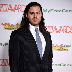 2017 AVN Awards Show - Red Carpet (Gallery 5) - Image 479229