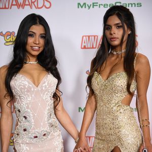 2017 AVN Awards Show - Red Carpet (Gallery 5) - Image 479328