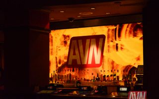 2017 AVN Expo - Pre-Show Cocktail Party