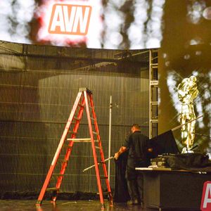 2017 AVN Expo - Scenes From the Show (Gallery 4) - Image 485088