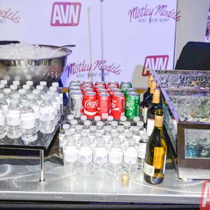 2017 AVN Expo - Scenes From the Show (Gallery 4) - Image 485151