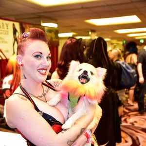 DomCon LA 2017 (Gallery 2) - Image 501949