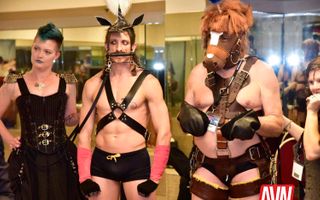 DomCon LA 2017 (Gallery 2)