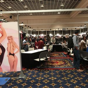 Altitude Lingerie Show 2017 - Image 528248