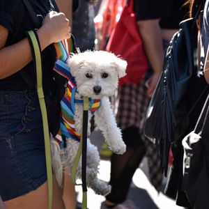 AidsWalkLA 2017 - Image 529985