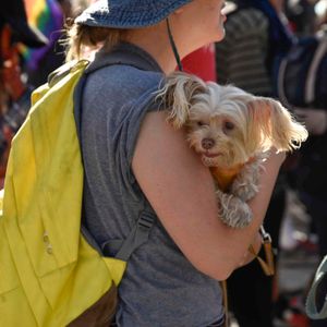 AidsWalkLA 2017 - Image 529991