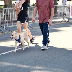 AidsWalkLA 2017 - Image 530045