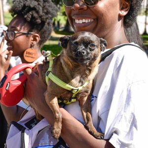 AidsWalkLA 2017 - Image 530117