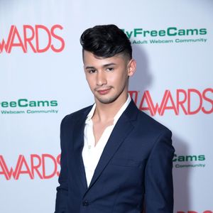 2018 AVN Awards Nomination Party Red Carpet (Gallery 1) - Image 538181