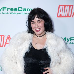 2018 AVN Awards Nomination Party Red Carpet (Gallery 1) - Image 538118