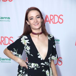 2018 AVN Awards Nomination Party Red Carpet (Gallery 2) - Image 538403