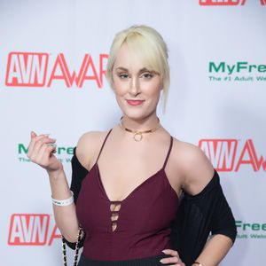 2018 AVN Awards Nomination Party Red Carpet (Gallery 2) - Image 538553