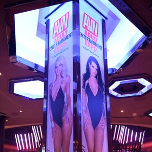2018 AVN Expo - A Hotel Transformed - Image 552095