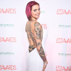 2018 AVN Awards Show - Red Carpet (Gallery 3) - Image 558212