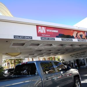 The Day Before the 2019 AVN Adult Entertainment Expo - Image 588643