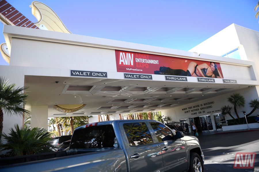 The Day Before the 2019 AVN Adult Entertainment Expo
