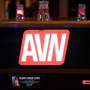 The Day Before the 2019 AVN Adult Entertainment Expo - Image 588656