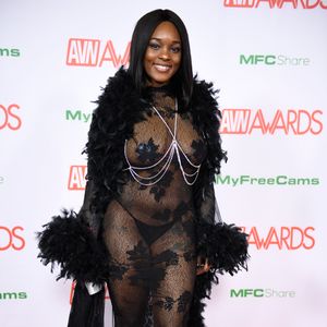 2019 AVN Awards Red Carpet (Gallery 3) - Image 582675