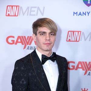 2019 GayVN Awards Red Carpet (Gallery 2) - Image 583588