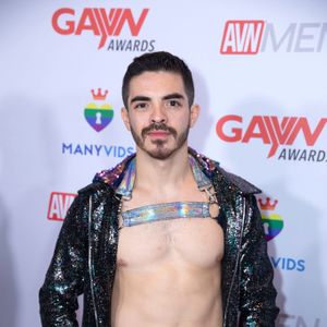 2019 GayVN Awards Red Carpet (Gallery 2) - Image 583598