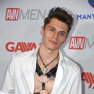 2019 GayVN Awards Red Carpet (Gallery 4) - Image 584019