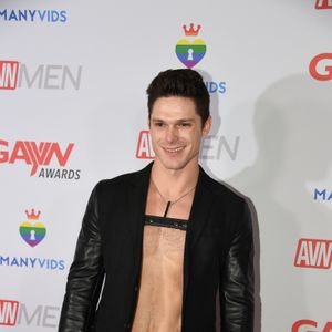 2019 GayVN Awards Red Carpet (Gallery 4) - Image 584043