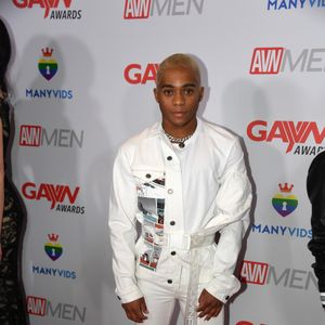 2019 GayVN Awards Red Carpet (Gallery 4) - Image 584073