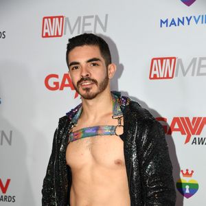 2019 GayVN Awards Red Carpet (Gallery 4) - Image 584078