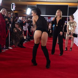 2019 AVN Awards - Stars on the Red Carpet (Gallery 3) - Image 586751