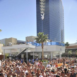 'Ditch Friday' AVN Pool Party at the Palms - Image 133218