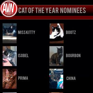Industry Cat Nominees - Image 154092