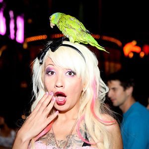 Coco Velvett Birthday Party - Image 184032
