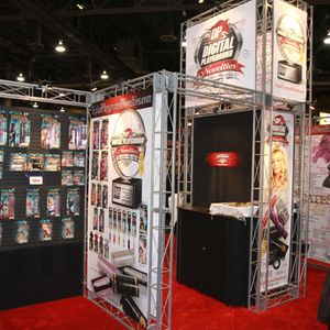 AVN Novelty Expo at AEE 2011 - Jan. 7 - Image 159924