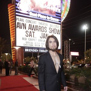 2011 AVN Awards (Gallery 1) - Image 160314