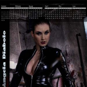 Bravo Models 2011 Calendars - Image 172341