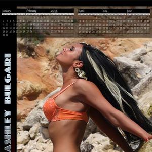 Bravo Models 2011 Calendars - Image 172365