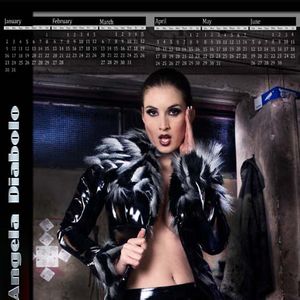 Bravo Models 2011 Calendars - Image 172368