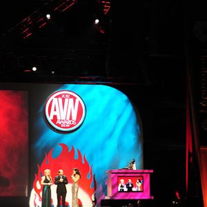 2012 AVN Awards Show - Image 210453