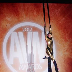 2012 AVN Awards Show (Part 1) - Image 213831