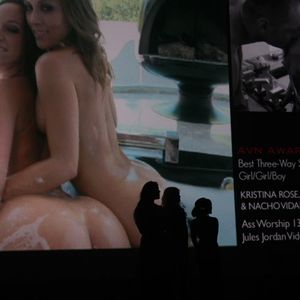 2012 AVN Awards Show (Part 1) - Image 213867