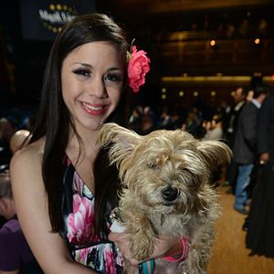 2013 AVN Awards - Faces in the Crowd - Image 260748